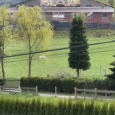 I Nad Potokiem Skalka Sciegny